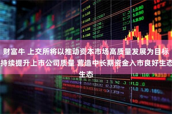 财富牛 上交所将以推动资本市场高质量发展为目标 持续提升上市公司质量 营造中长期资金入市良好生态