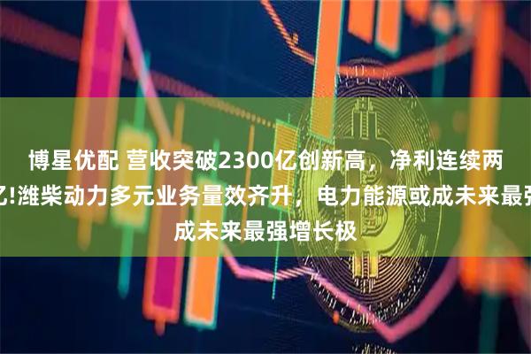 博星优配 营收突破2300亿创新高,净利连续两年破百亿!潍柴动力多元业务量效齐升,电力能源或成未来最强增长极