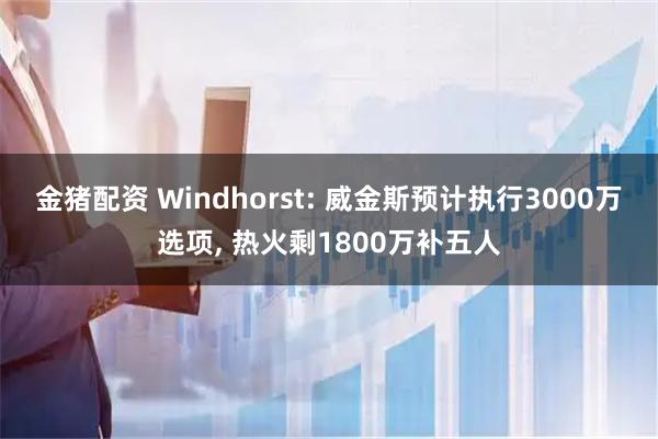 金猪配资 Windhorst: 威金斯预计执行3000万选项, 热火剩1800万补五人